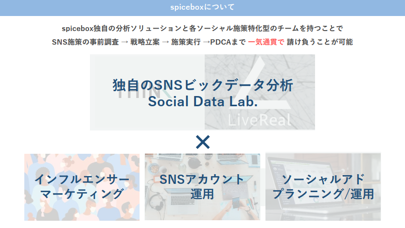 spicebox独自の分析ソリューションと各ソーシャル施策特化型のチームを持つことで、一気通貫で請け負うことが可能。