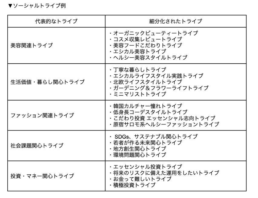 ソーシャルトライブ例